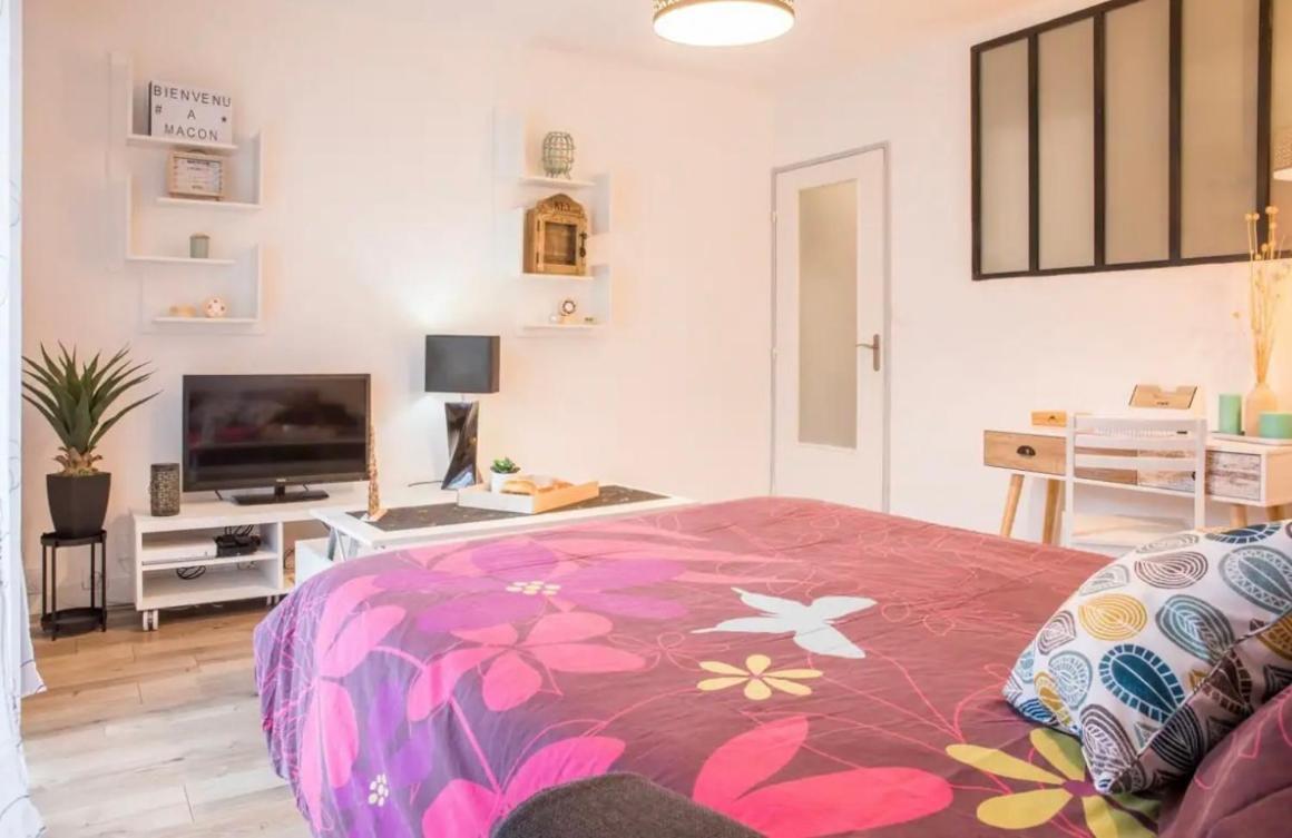 Charmant Appartement T1 Mâcon Eksteriør bilde
